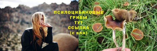 a pvp Заводоуковск