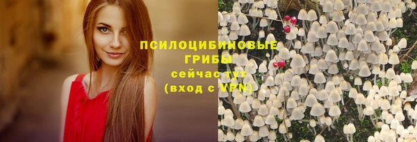 ПСИЛОЦИБИНОВЫЕ ГРИБЫ Заволжск