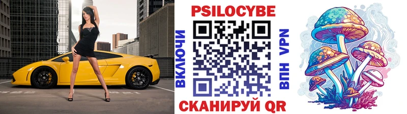 Купить где  Родники  Галлюциногенные грибы Magic Shrooms 